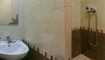 /upload/rooms/106/pokrascheniy-dnipro-beskid-truskavec2.jpg