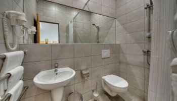 /upload/rooms/171/pokrascheniy-vip-gotel-vesna-truskavec2.jpg