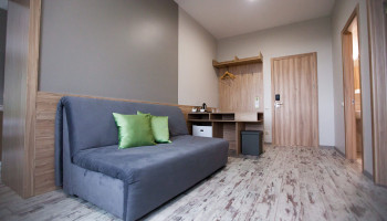 /upload/rooms/175/lux_pokrascheniy-3.jpg
