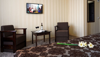 /upload/rooms/202/standart-gotel-lisova-pisnya-truskavec2.jpg