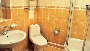 /upload/rooms/208/standart-anastasiya-truskavec2.jpg