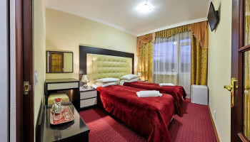 /upload/rooms/262/pokrascheniy-elit-dnipro-truskavec.jpg