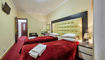 /upload/rooms/262/pokrascheniy-elit-dnipro-truskavec1.jpg