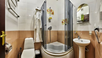 /upload/rooms/262/pokrascheniy-elit-dnipro-truskavec2.jpg