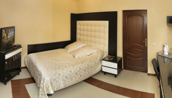 /upload/rooms/285/odnomisniy-aleksik-grand-truskavec1.jpg