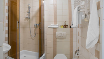 /upload/rooms/340/nomer-standart-gotel-oskar-truskavec2.jpg