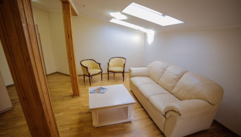 /upload/rooms/37/napivlyuks-mansarda-got-svityaz-truskavec1.jpg