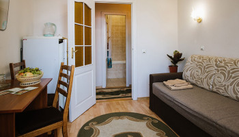 /upload/rooms/59/odnomisniy-san-arnika-truskavec.jpg