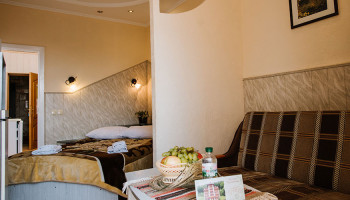 /upload/rooms/62/napivlyuks-san-arnika-truskavec.jpg