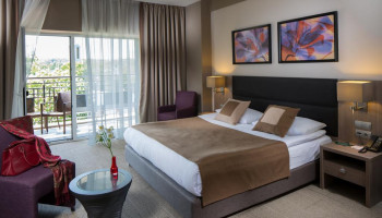 /upload/rooms/89/standart-got-mirotel-truskavec.jpg