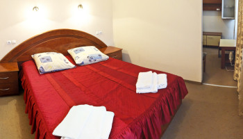 /upload/rooms/98/napivlyuks-sanatoriy-moldova.jpg